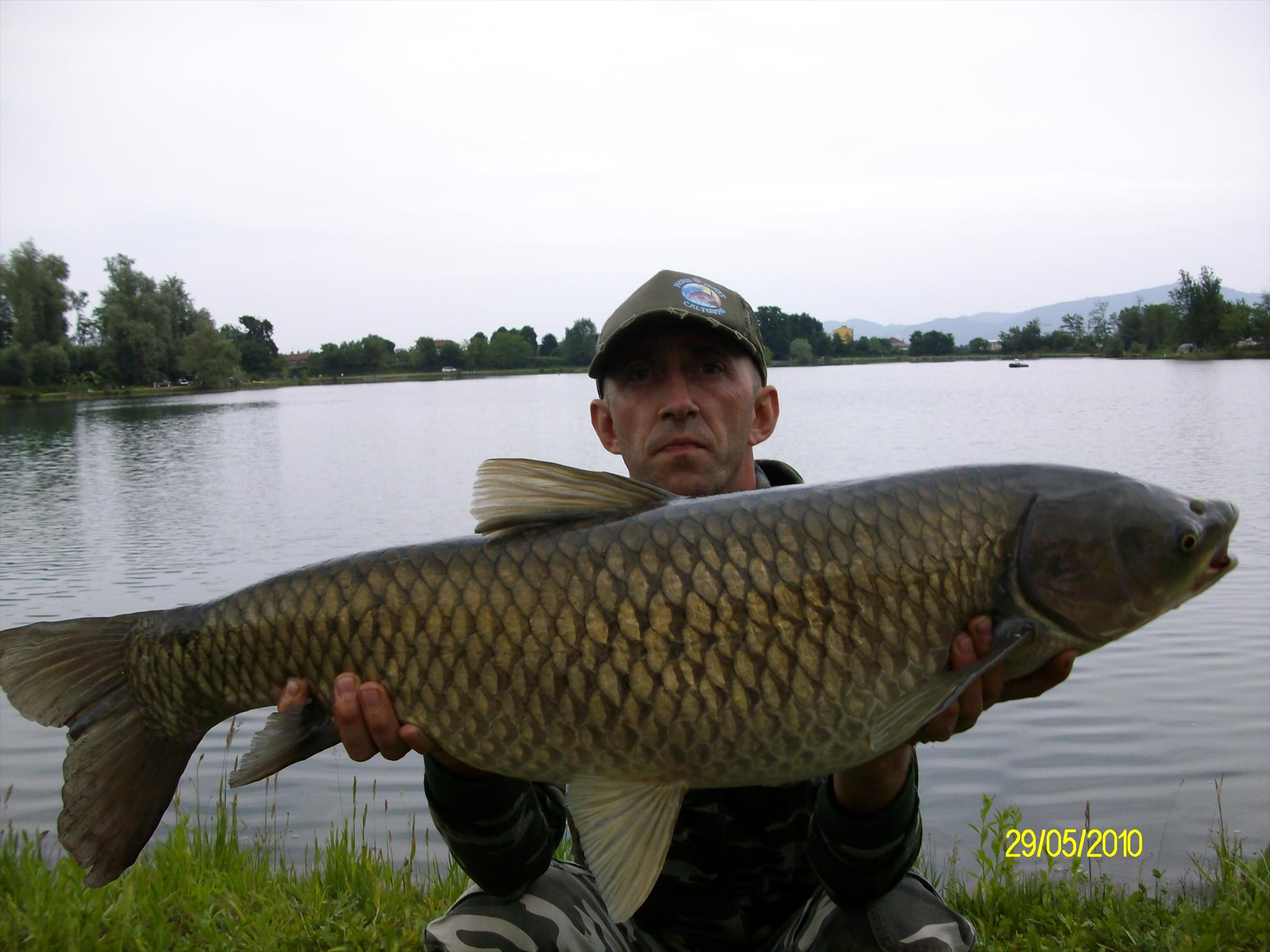 florian tanasa - 254.JPG